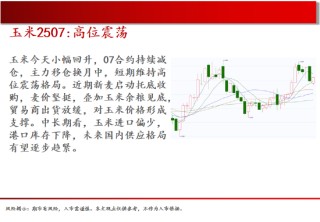中天期貨:棕櫚大漲的高位調(diào)整 尿素繼續(xù)大漲