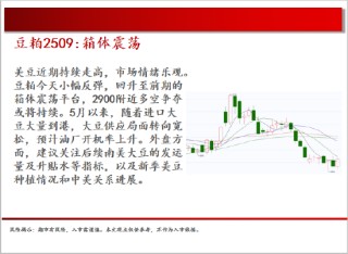 中天期貨:白銀繼續(xù)震蕩 棕櫚大幅反彈