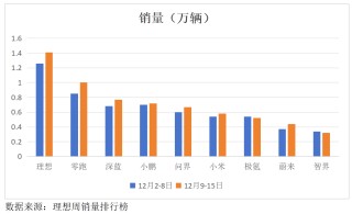 成長(zhǎng)、新生和淘汰，新能源汽車2024年都發(fā)生了哪些大事？