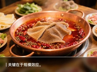 人均140塊的巴奴火鍋，賺錢能力不如海底撈