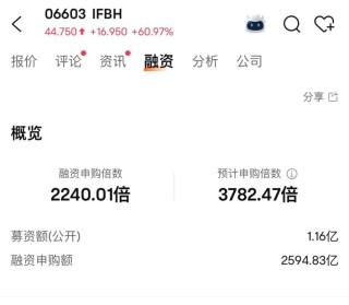 消費(fèi)新股IFBH暗盤(pán)大漲超60%
