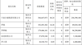 合盛硅業(yè)陷盈利困境，實(shí)控人家族去年拿走近八成分紅