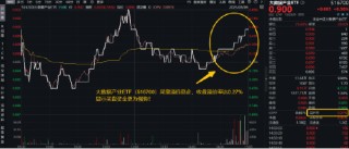 逐“光”而行？信創(chuàng)新晉“吸金大戶(hù)”，562030叒現(xiàn)天量，基金公司緊急提示風(fēng)險(xiǎn)！金融科技突然變臉，什么原因