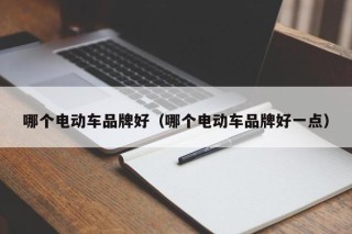 哪個電動車品牌好（哪個電動車品牌好一點）