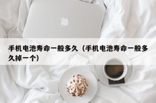 手機電池壽命一般多久（手機電池壽命一般多久掉一個）