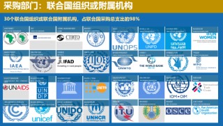 中國聯(lián)合國采購促進(jìn)會(huì)宋嘉：企業(yè)出海是一種戰(zhàn)略選擇
