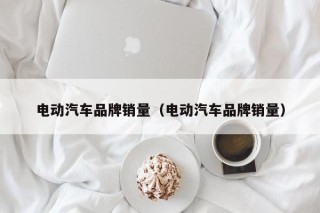 電動(dòng)汽車品牌銷量（電動(dòng)汽車品牌銷量）