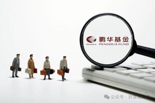 鵬揚(yáng)基金“重債輕股”模式難改，朱國慶管理規(guī)模不足10億元難成“一哥”
