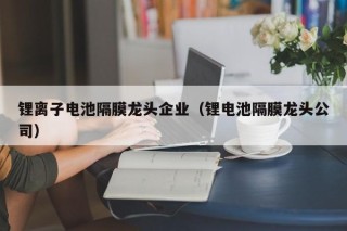 鋰離子電池隔膜龍頭企業(yè)（鋰電池隔膜龍頭公司）