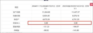 信濠光電無(wú)實(shí)控人認(rèn)定是否存疑？四大董事席位人員疑均與立訊精密產(chǎn)生交織