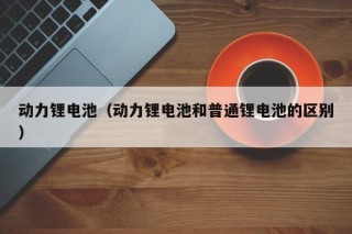 動力鋰電池（動力鋰電池和普通鋰電池的區(qū)別）