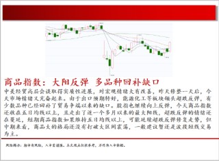 中天期貨:白銀繼續(xù)震蕩 棕櫚大幅反彈