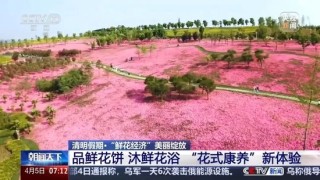 暴漲220%！這一市場，綻放！