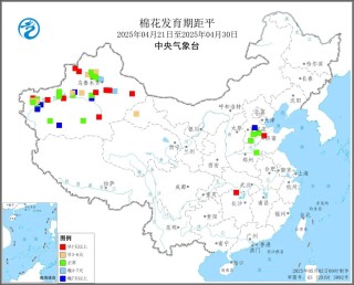 氣象預(yù)警：2025年4月下旬棉花發(fā)育期