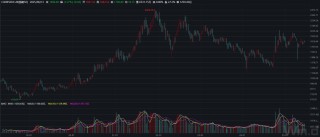 【國建50周報】稀土相關概念股連續(xù)上漲