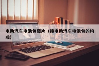 電動汽車電池包圖片（純電動汽車電池包的構(gòu)成）