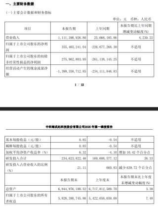 寒武紀(jì) 2025 年第一季度營(yíng)收 11.11 億元同比增長(zhǎng) 4230.22%，實(shí)現(xiàn)扭虧為盈
