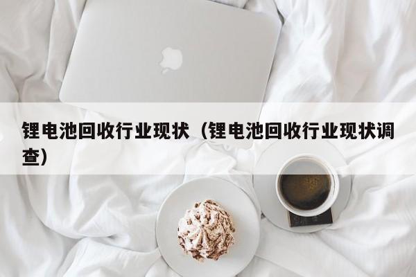 鋰電池回收行業(yè)現(xiàn)狀（鋰電池回收行業(yè)現(xiàn)狀調(diào)查）  第1張