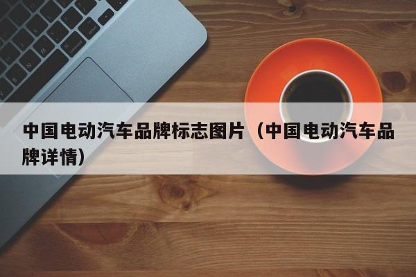 中國(guó)電動(dòng)汽車品牌標(biāo)志圖片（中國(guó)電動(dòng)汽車品牌詳情）  第1張