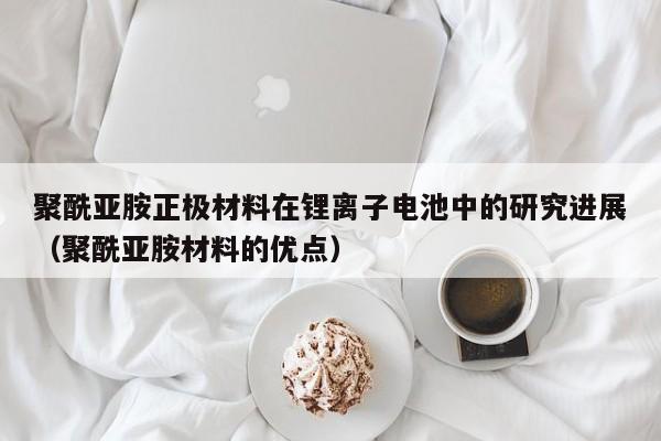 聚酰亞胺正極材料在鋰離子電池中的研究進(jìn)展（聚酰亞胺材料的優(yōu)點(diǎn)）  第1張