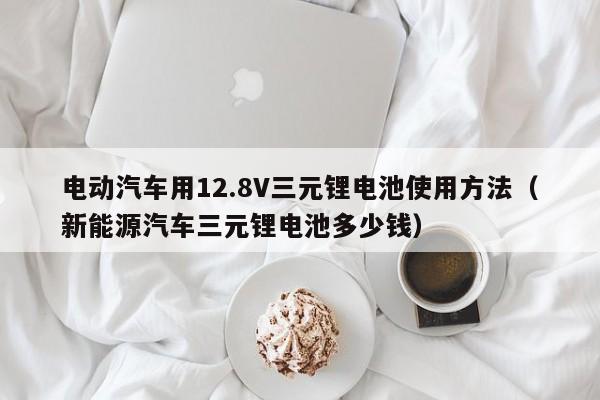 電動(dòng)汽車用12.8V三元鋰電池使用方法（新能源汽車三元鋰電池多少錢）  第1張