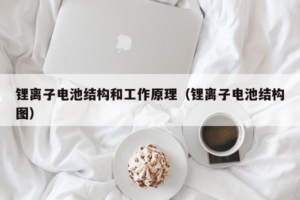 鋰離子電池結(jié)構(gòu)和工作原理（鋰離子電池結(jié)構(gòu)圖）  第1張