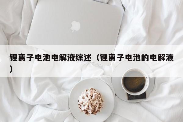 鋰離子電池電解液綜述（鋰離子電池的電解液）  第1張