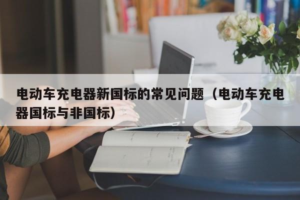 電動車充電器新國標(biāo)的常見問題（電動車充電器國標(biāo)與非國標(biāo)）  第1張