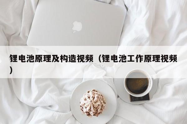 鋰電池原理及構(gòu)造視頻（鋰電池工作原理視頻）  第1張