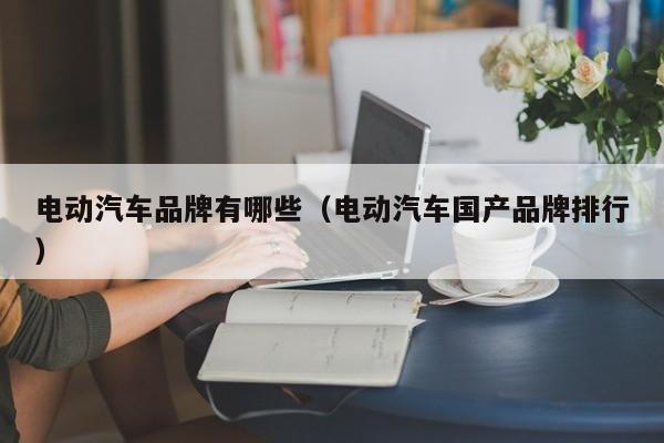 電動汽車品牌有哪些（電動汽車國產(chǎn)品牌排行）  第1張