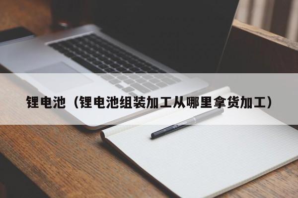 鋰電池（鋰電池組裝加工從哪里拿貨加工）  第1張