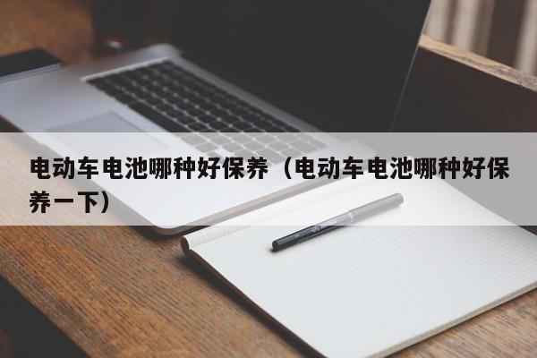電動(dòng)車電池哪種好保養(yǎng)（電動(dòng)車電池哪種好保養(yǎng)一下）  第1張
