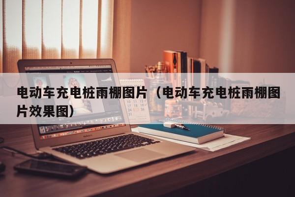 電動車充電樁雨棚圖片（電動車充電樁雨棚圖片效果圖）  第1張