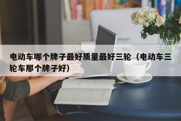 電動車哪個牌子最好質(zhì)量最好三輪（電動車三輪車那個牌子好）  第1張