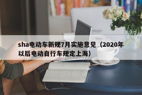 sha電動車新規(guī)7月實施意見（2020年以后電動自行車規(guī)定上海）  第1張