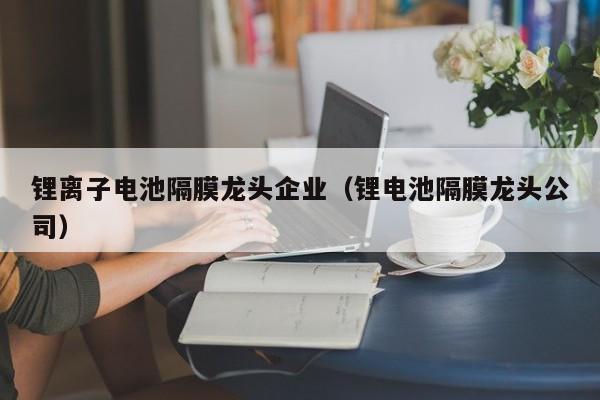 鋰離子電池隔膜龍頭企業(yè)（鋰電池隔膜龍頭公司）  第1張