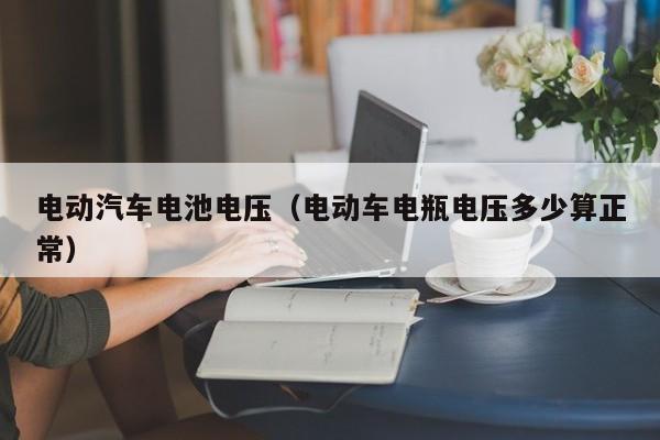 電動(dòng)汽車電池電壓（電動(dòng)車電瓶電壓多少算正常）  第1張