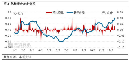 卓創(chuàng)資訊：養(yǎng)殖減重推動體重差和肥標差變化 1月生豬供應量或環(huán)比再增  第5張