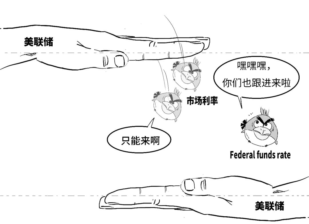 鷹派降息？3分鐘搞懂美聯儲咋降的息！  第18張
