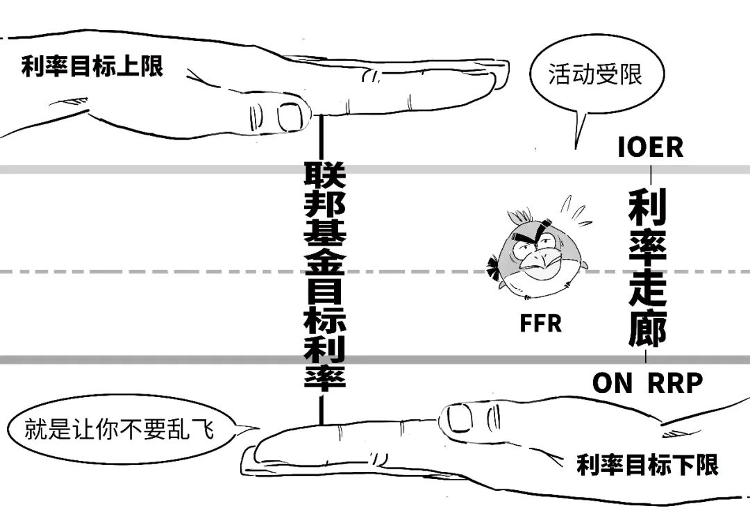 鷹派降息？3分鐘搞懂美聯儲咋降的息！  第44張