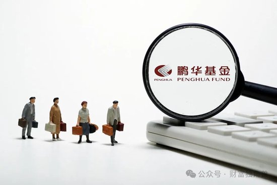 鵬揚基金“重債輕股”模式難改，朱國慶管理規(guī)模不足10億元難成“一哥”  第1張