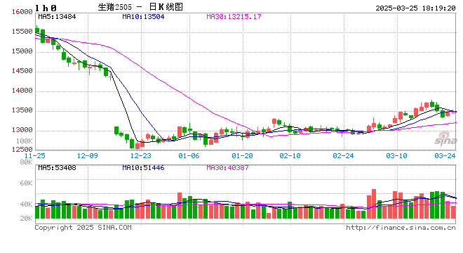 每日豬訊3.25  第2張