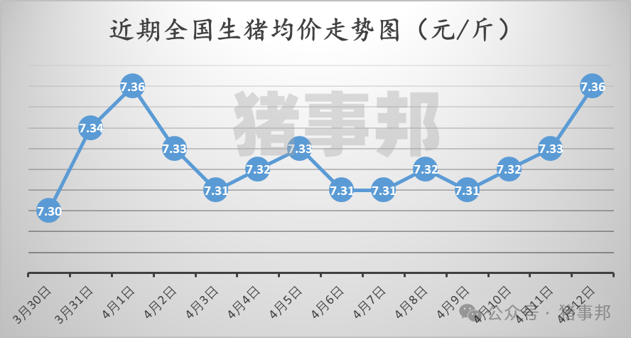 豬事邦||4月12日豬價(jià)匯總（“二育”升溫，北漲南穩(wěn)！）  第2張