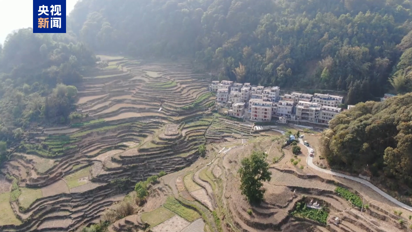 廣西河池持續(xù)旱情影響7萬畝農(nóng)田 多部門緊急送水保民生  第3張