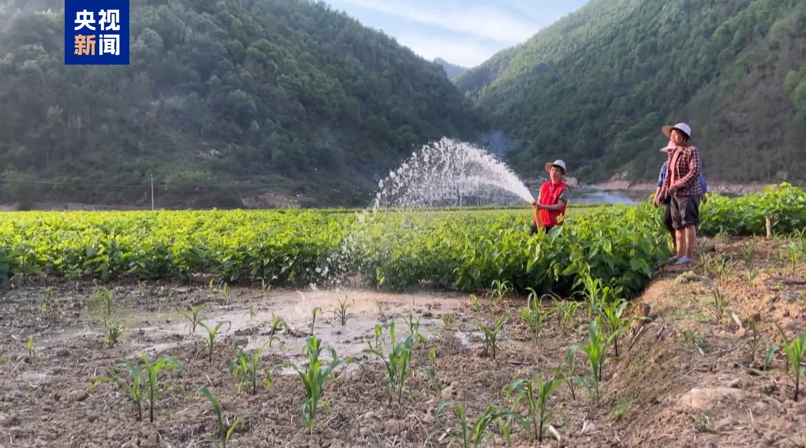 廣西河池持續(xù)旱情影響7萬畝農(nóng)田 多部門緊急送水保民生  第6張
