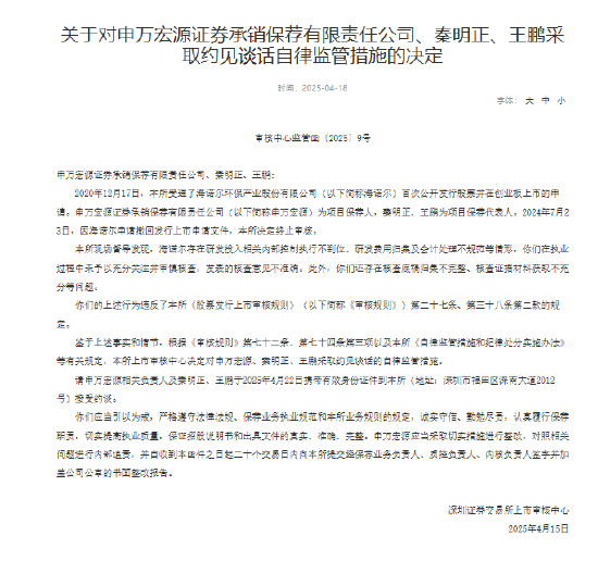 海諾爾IPO項目保薦履職不到位 申萬宏源及兩名保代被處分  第2張