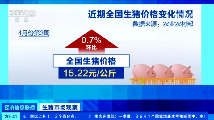 出欄了！頭均可賺150-200，五一備貨提振豬價  第2張