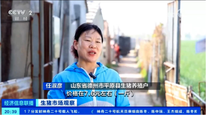 出欄了！頭均可賺150-200，五一備貨提振豬價  第3張