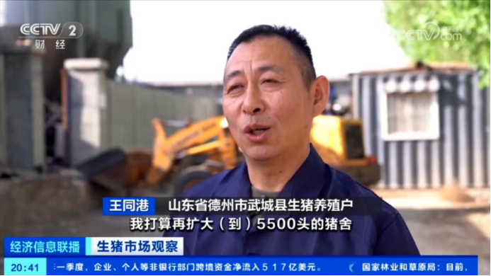 出欄了！頭均可賺150-200，五一備貨提振豬價  第5張