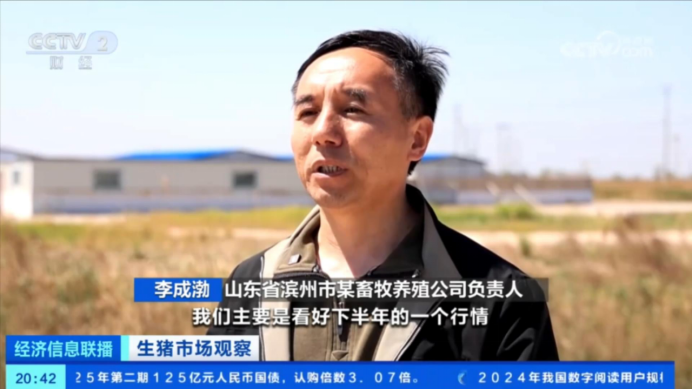 出欄了！頭均可賺150-200，五一備貨提振豬價  第6張